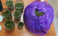 Zielony susz roślinny - marihuana zabezpieczona przez policjantów, znajdująca się w słoikach i fioletowym worku.
