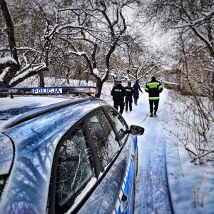 Radiowóz, dwóch policjantów, kobieta w długiej kurtce, strażak, w tle krajobraz zimowy